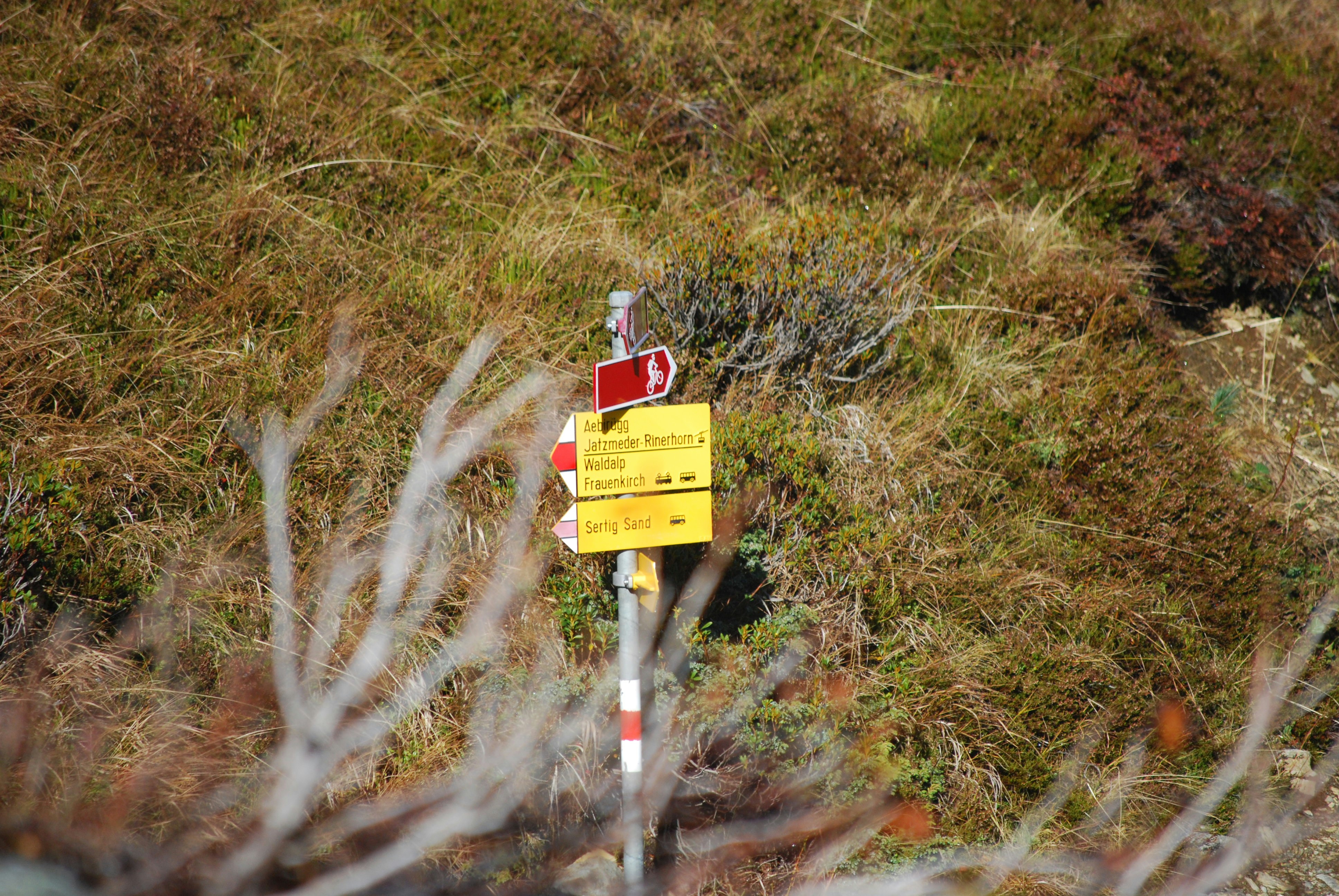 Wegweiser in der Natur